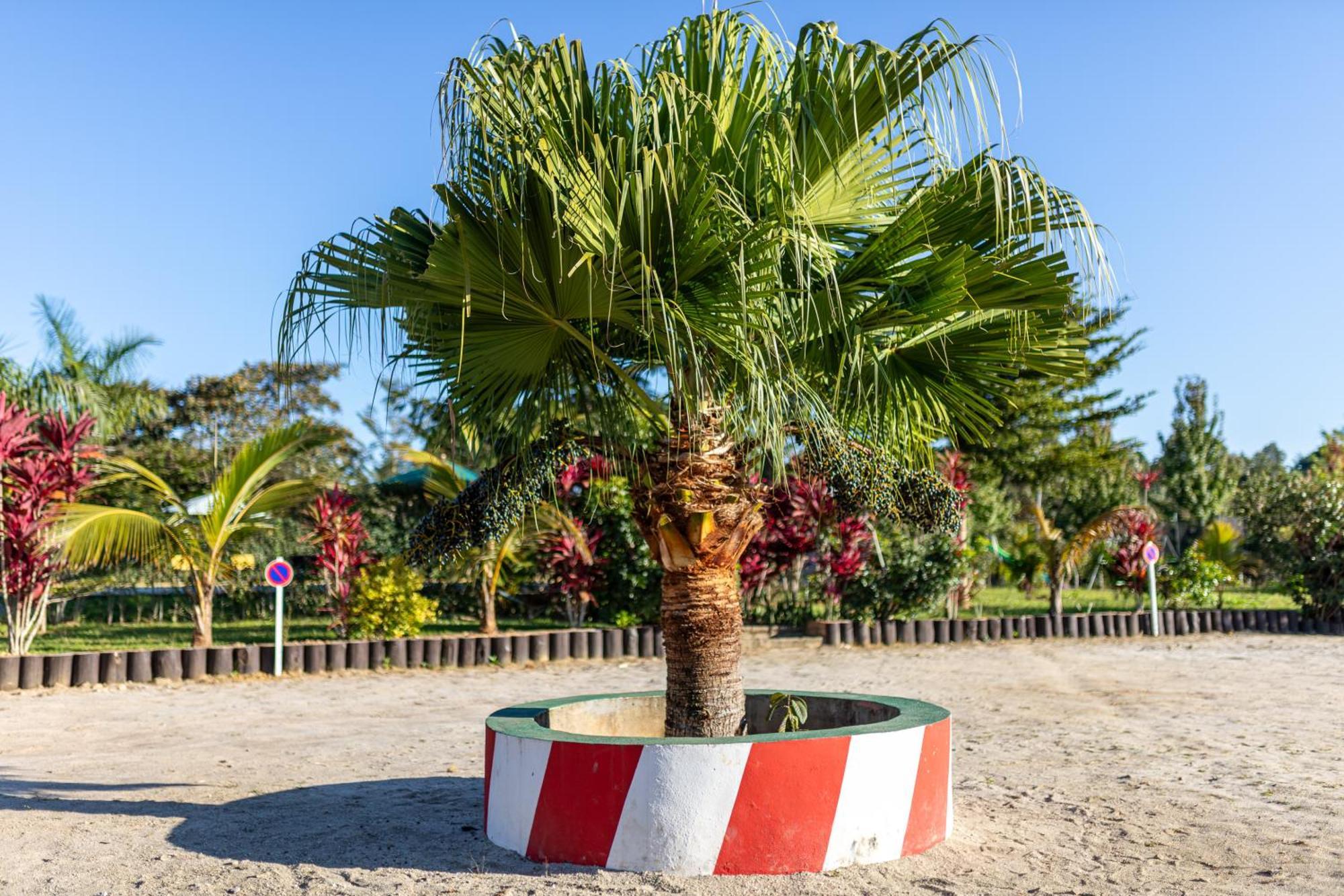 Andasibe Lemurs Lodge Eksteriør bilde